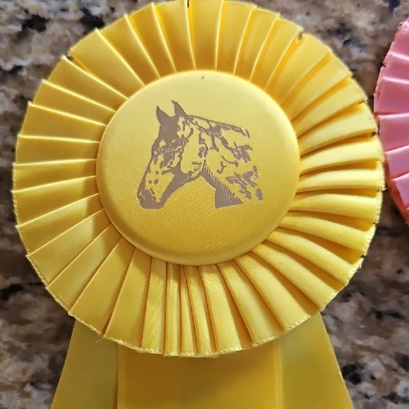 3 Vintage 1965 American Saddle Bred Tennessee Walker horse show rosettes ribbons - Picture 3 of 14
